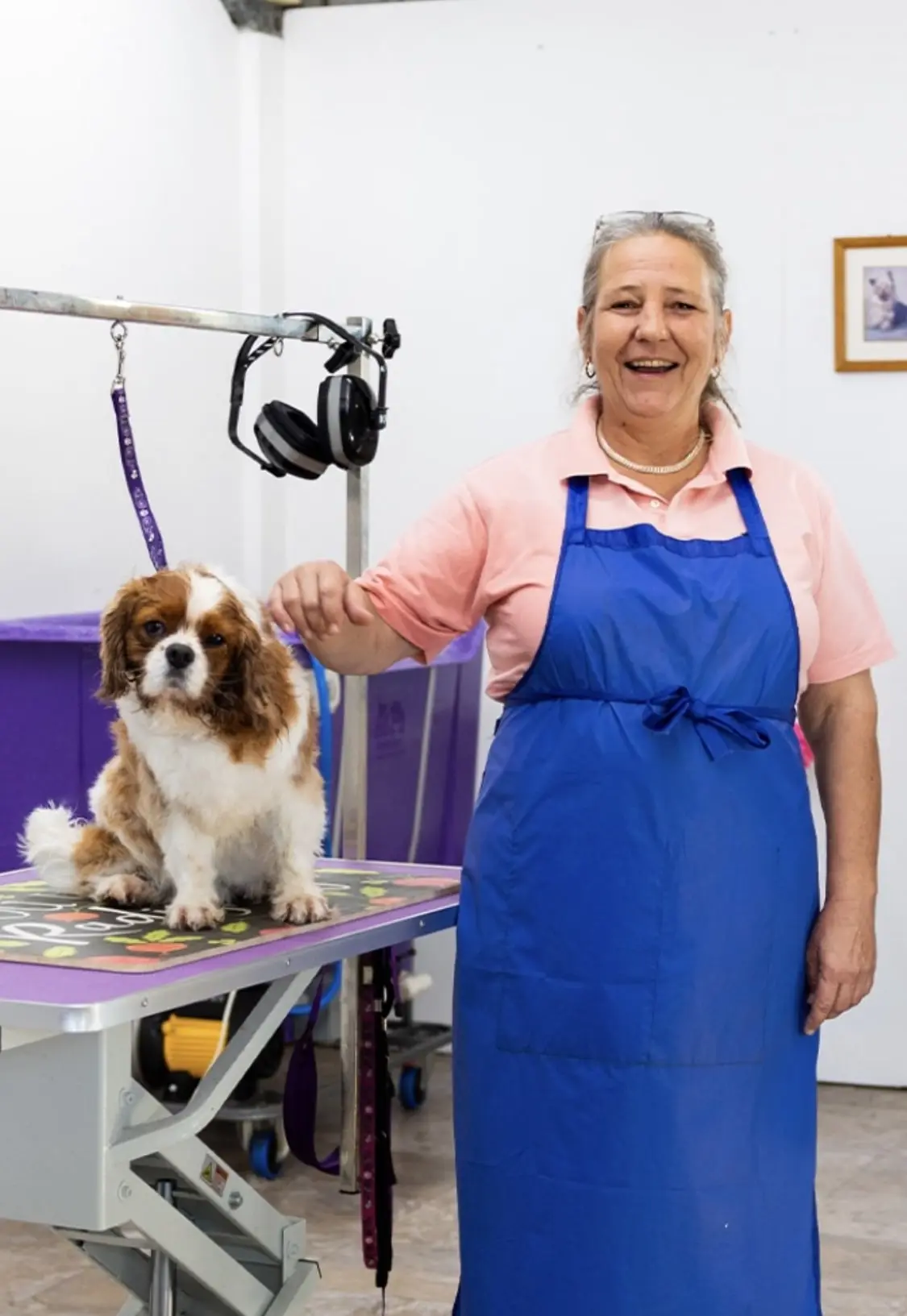 Margy - Dog Groomer
